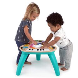Activity Toddler Toy