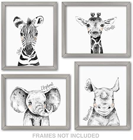 Confetti Fox Zoo Animals Nursery Wall Decor - 8x10 Unframed Set of 4 Art Prints - Safari Baby Zebra Elephant Giraffe Rhino