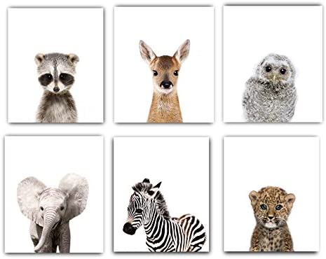Nursery Decor Pictures (8x10) | Set of 6 (Unframed) Cute Baby Animal Photography Wall Prints for Boys & Girls Room
